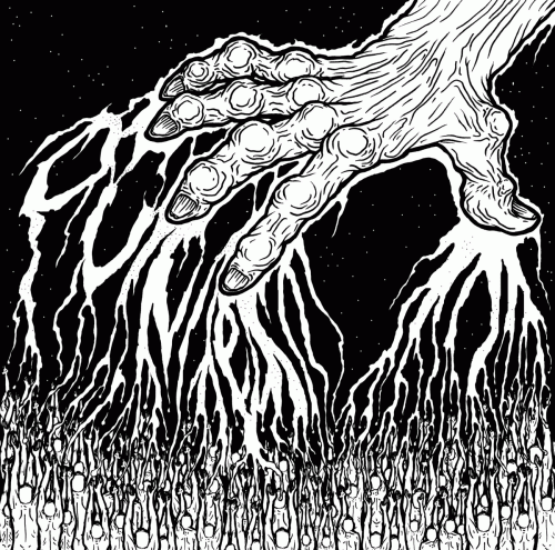 Dvne : Aurora Majesty